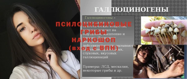 бошки Балахна