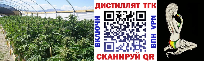 Дистиллят ТГК концентрат дарнет шоп Спас-Клепики